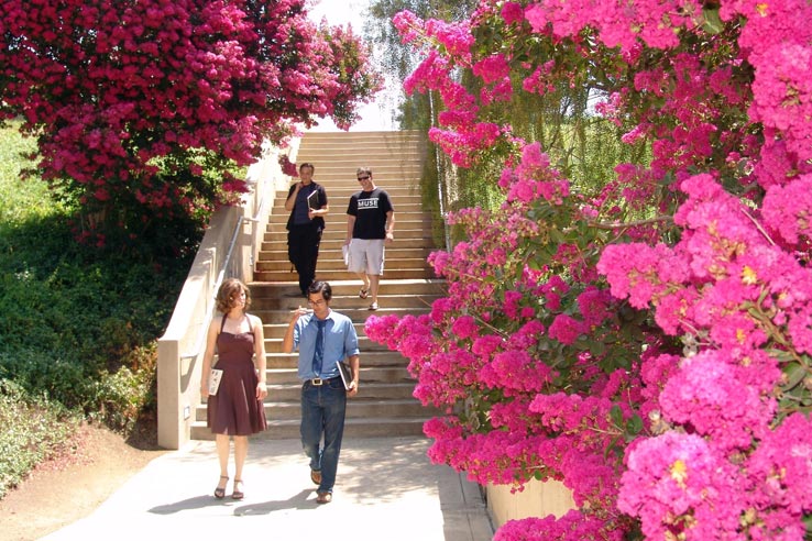 Students walking down a staircase.